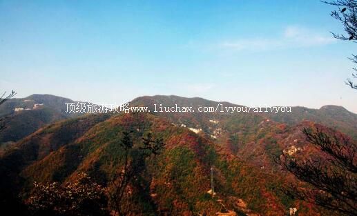 �ӱ���̨Ы�ӹ�����ɭ�ֹ�԰���ι���