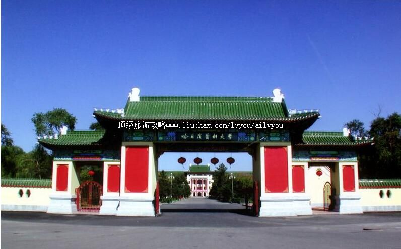 ������ҽ�ƴ�ѧУ԰���