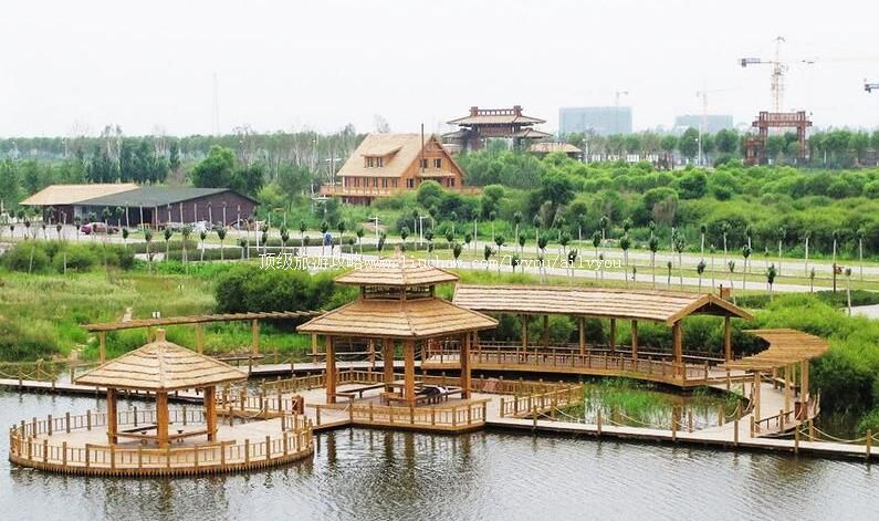 哈尔滨金河湾湿地植物园旅游攻略