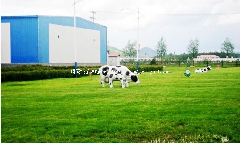 4A��־��ţ��ҵ��ҵ���ξ������ι���