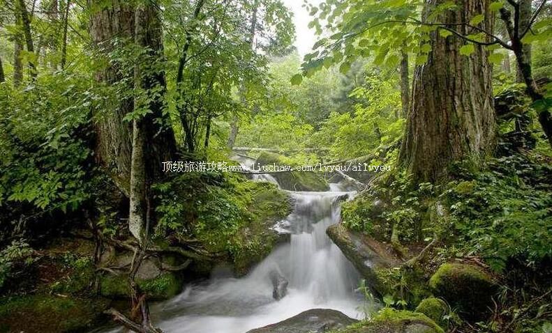 4Aɭ������������ξ������ι���