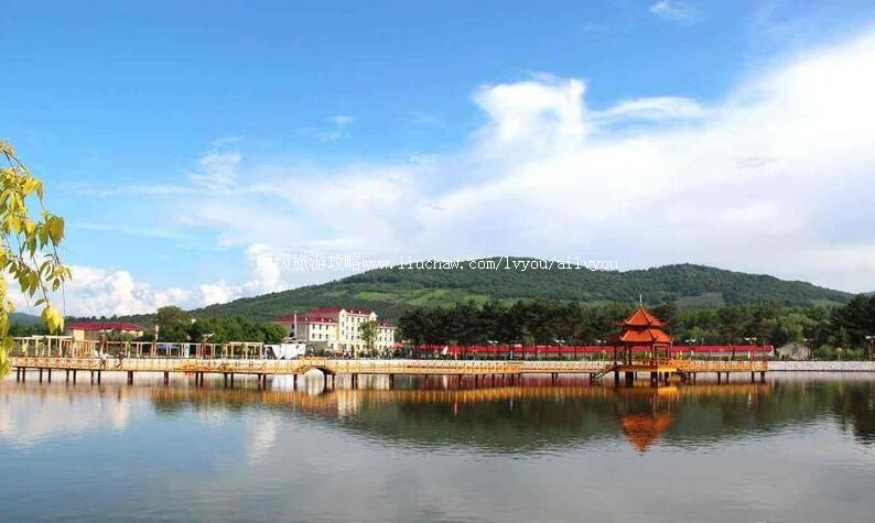 4A������ɭ��έ����ҵ�ֺ춹ɼ�������ι���