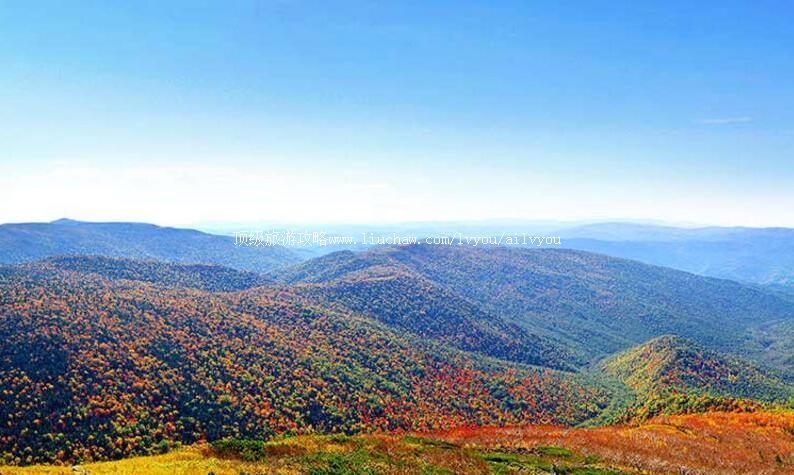 4A������ɭ�����ɽɭ�����������ι���