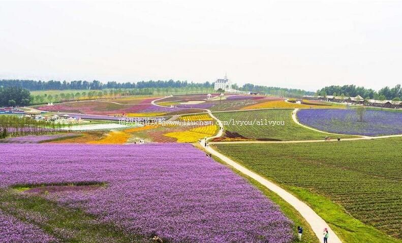 4A������������˹޹�²�ׯ԰���ι���