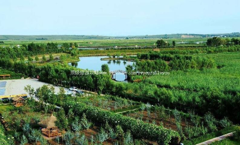 4A������������ʪ�ع�԰���ι���