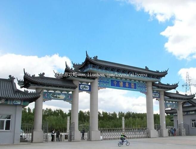 3A�������й�ͤ԰���ι���