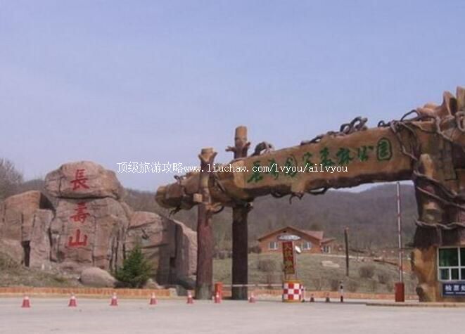 3A���������ٹ���ɭ�ֹ�԰���ι���