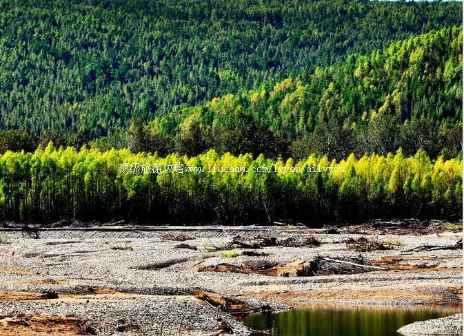 ���������й��Ҽ���Ȼ���������ι���