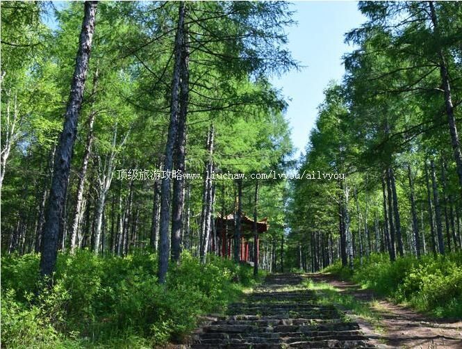 ���˰���������ɽ��԰���ι���