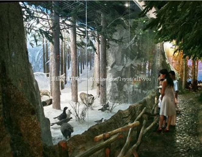 3A���˰�����Դ�����ι���