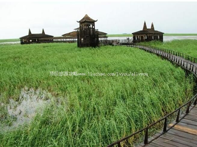 3A���쫚��ʪ�����ι���