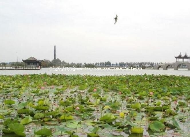 2A�������﹫԰���ι���