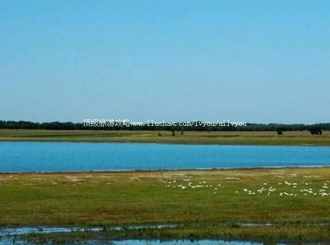 2A�������������Գ����ι���