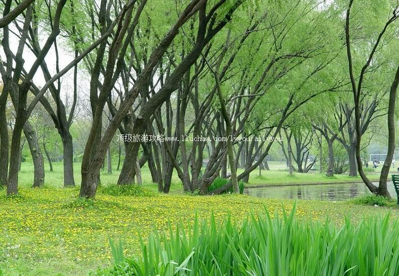 4A�Ϻ�����ɭ�ֹ�԰���ι���