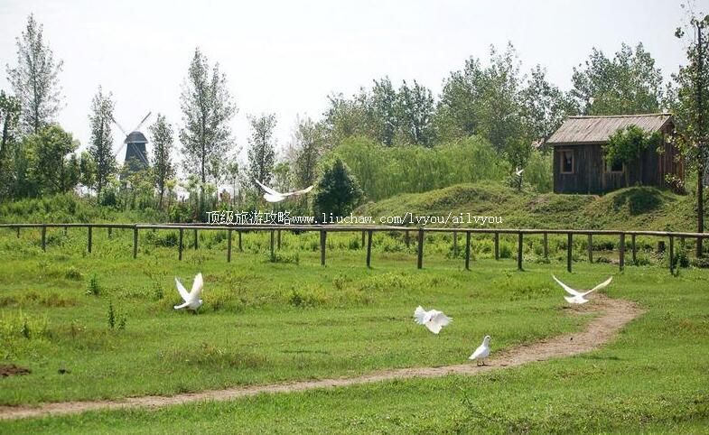 �Ϻ��ɽ�����ũׯ���ι���