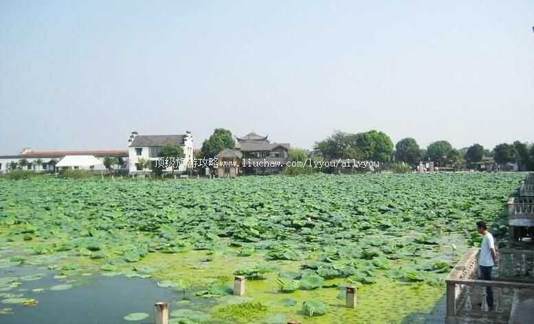 �Ϻ���굺������ι���