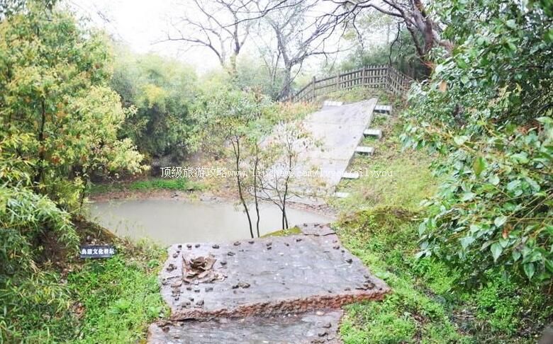 3A�Ϻ���Ȫɽ��ַ���ι���