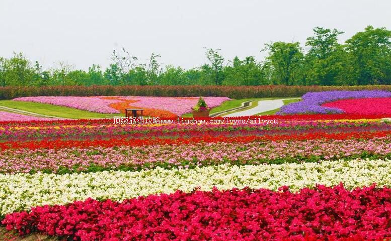 3A�Ϻ����ֻ������ι���