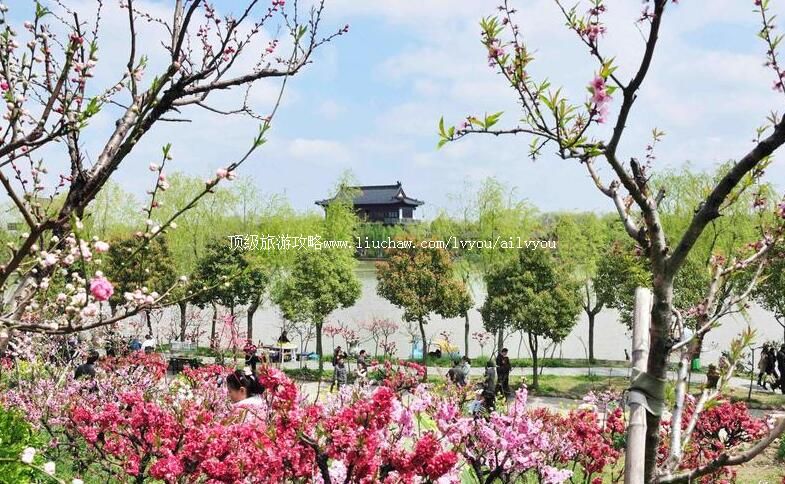 3A�Ϻ��ϻ��һ������ι���