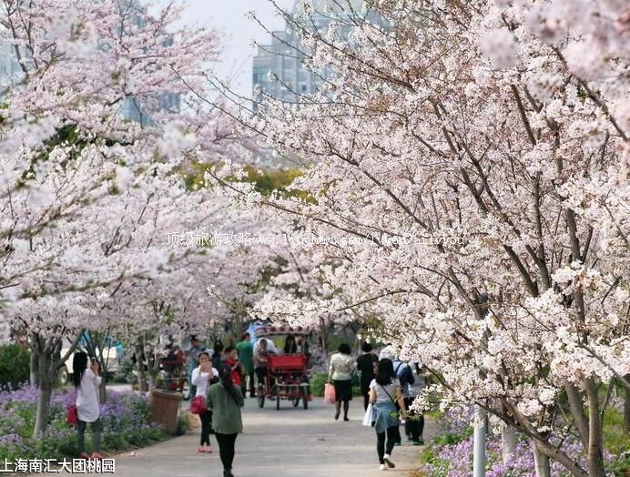 3A�Ϻ��ϻ������԰���ι���