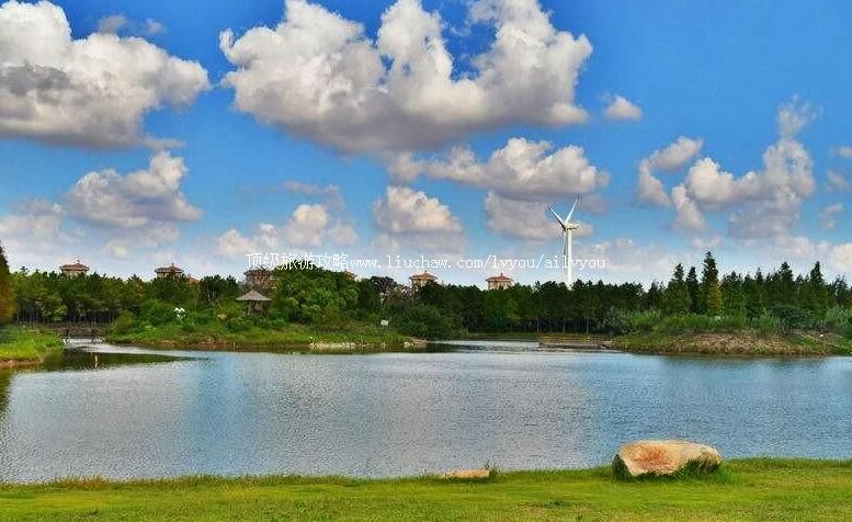 3A�Ϻ�����ɭ�ֹ�԰���ι���