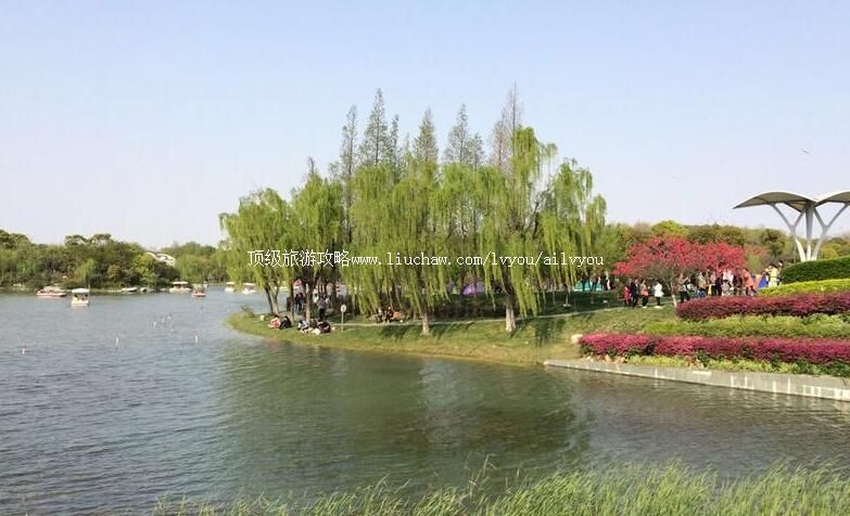 3A�Ϻ�����������԰���ι���