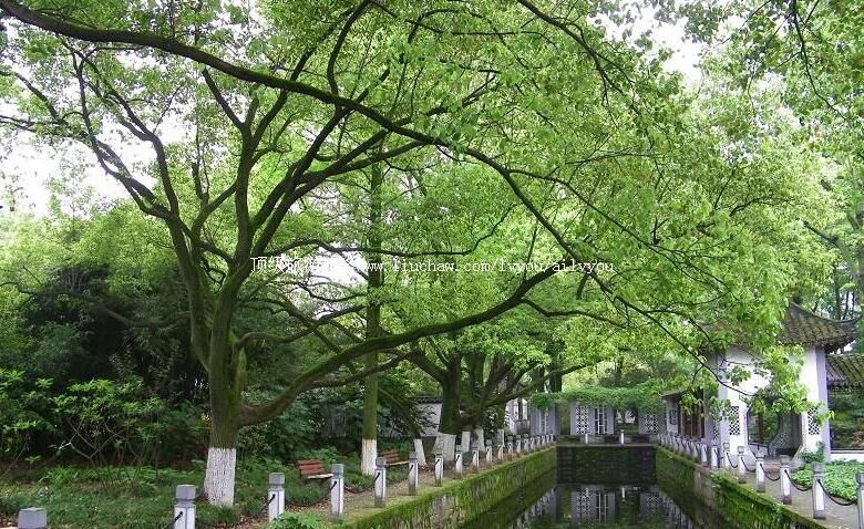 �Ϻ���ɽ���߹�԰���ι���