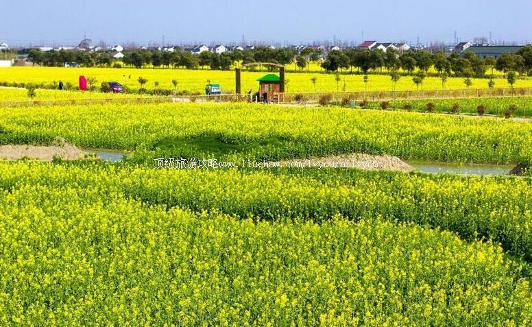 3A�Ϻ�����ׯ�о������ι���