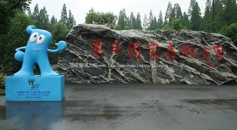 4A�Ϻ���ƽ����ɭ�ֹ�԰���ι���