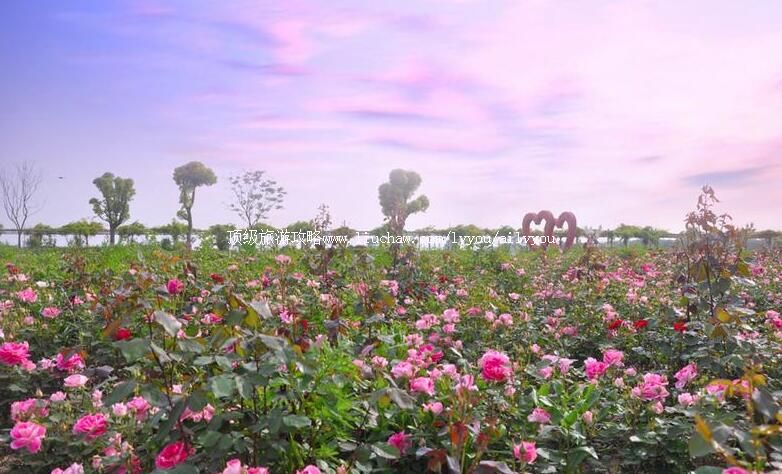 3A�Ϻ��𻪹�԰���ι���