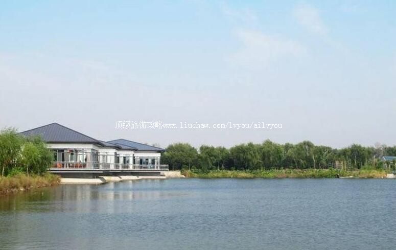 3A�Ϻ�����孶���̬�����ι���