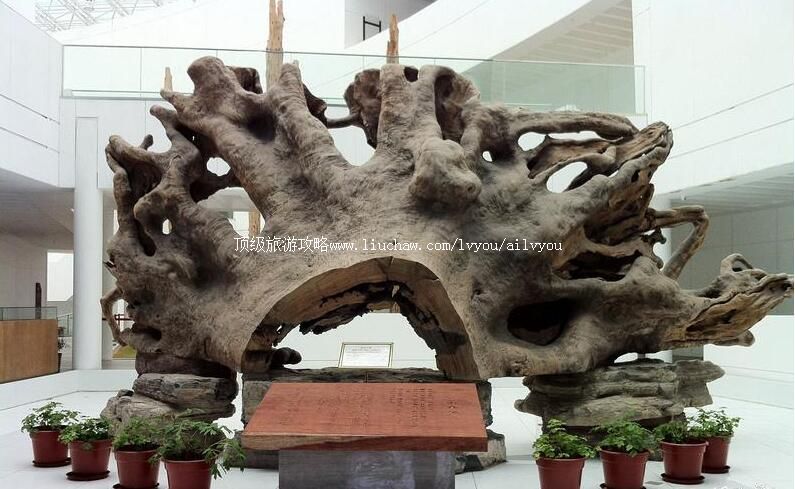 3A上海木文化博物馆旅游攻略