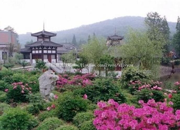 4A����ɽ�羰��ʤ�����ι���