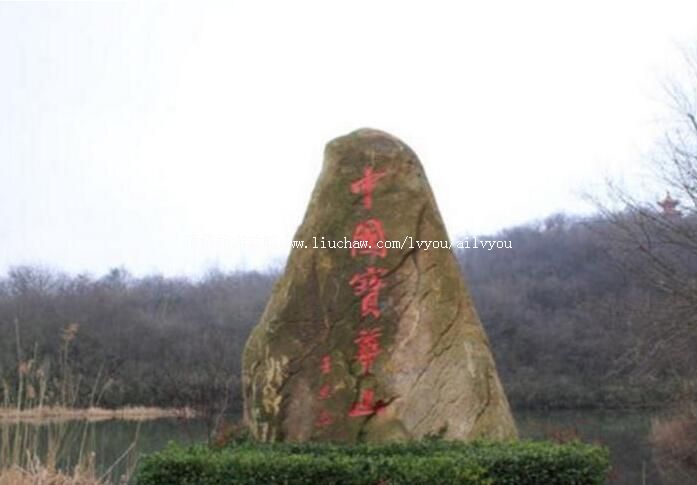 4A�򽭱���ɽ����ɭ�ֹ�԰���ι���