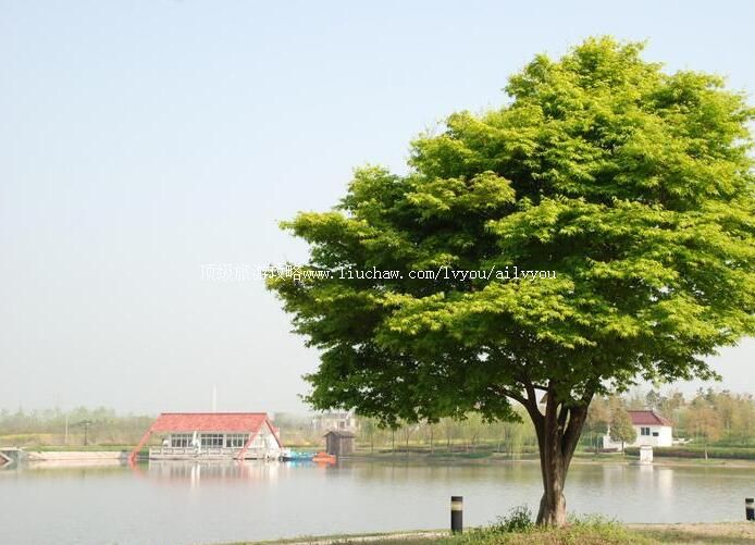 3A����������ȼٴ����ι���