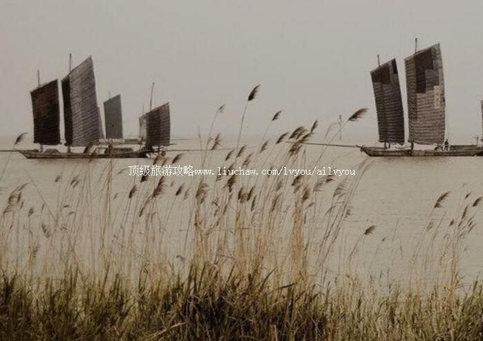 ���ݸ��ʺ����ι���