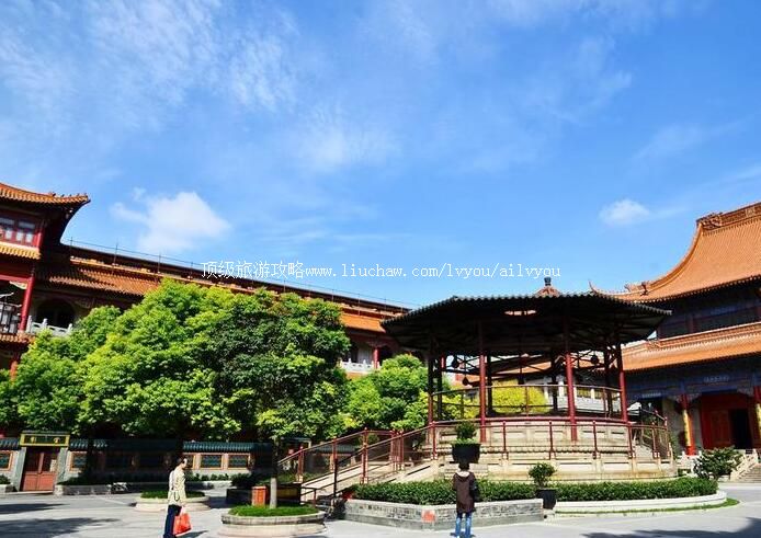 ���ݸߕF�����ι���