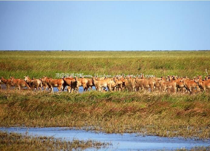 5A���մ����¹��Ȼ���������ι���