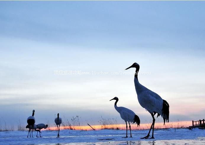 4A�γǵ�����ʪ����̬���������ι���