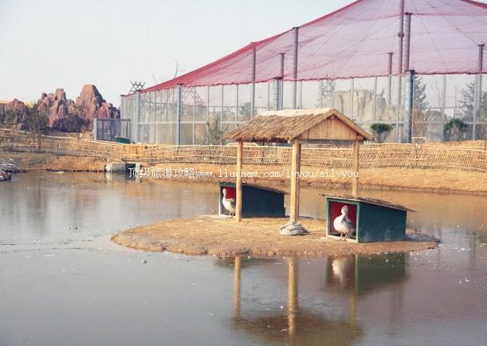 3A��ᵤ��������԰���ι���