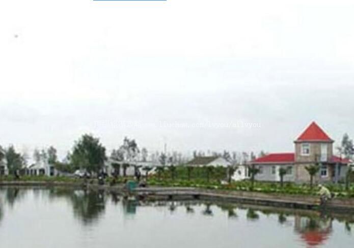 2A�γ���������������ι���