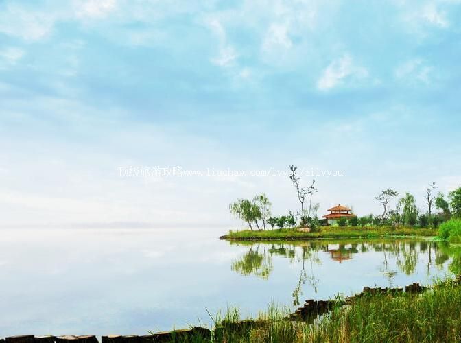 4A�����˰���ʪ�ع�԰���ι���