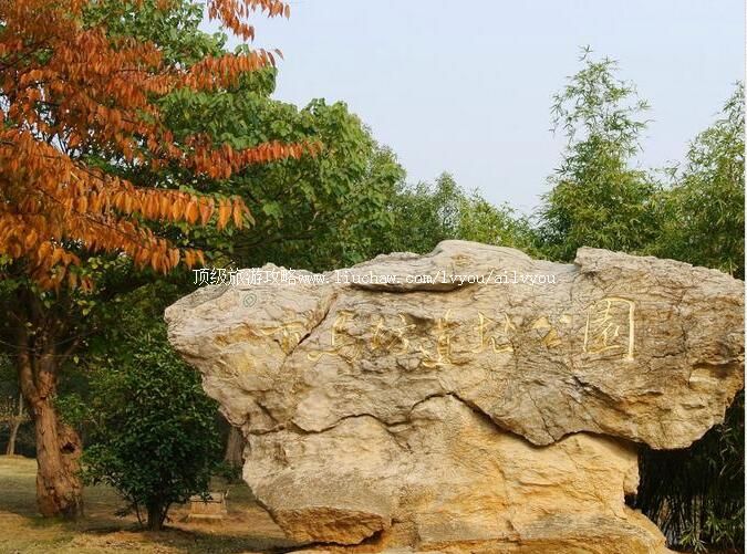 �����Ͼ���������ַ��԰���ι���