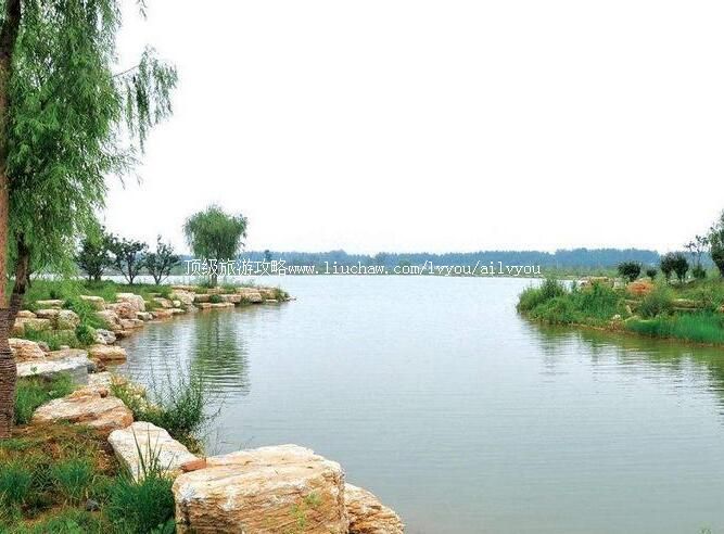 3A睢宁白塘河湿地公园旅游攻略