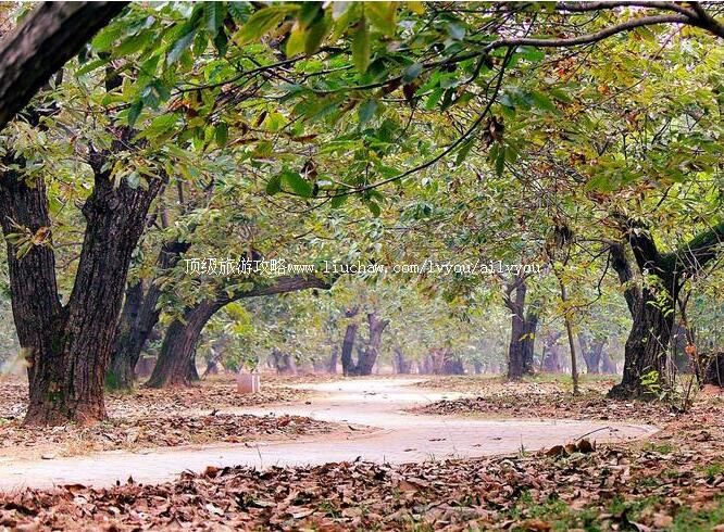 2A���ݹ���԰���ι���