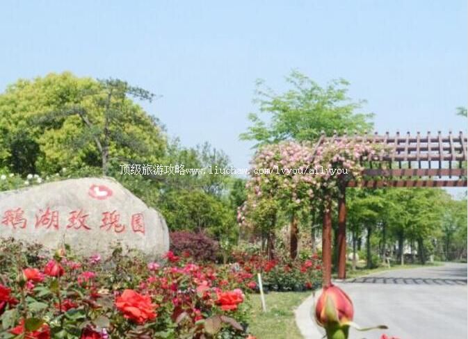 �������õ��԰���ι���