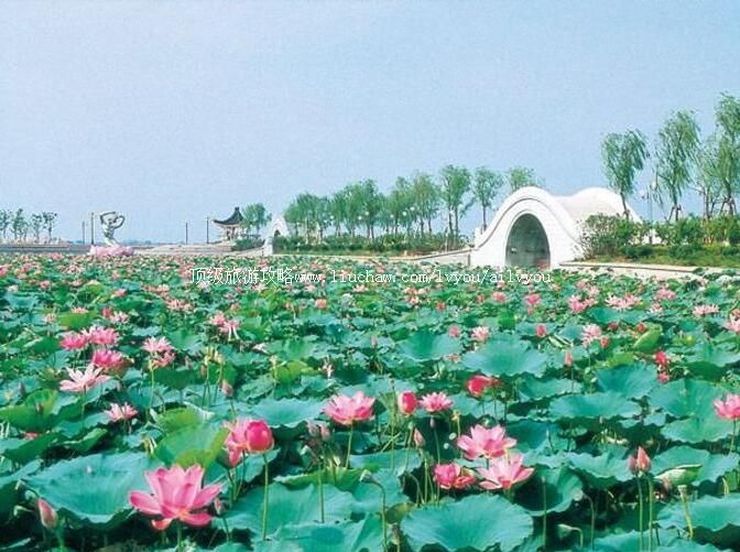 4A�����Ś�羰�����ι���