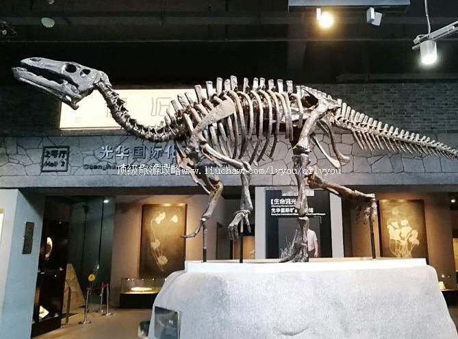 4A�����л���ʯ԰���ι���