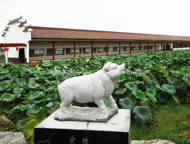 3A宜兴兴望农业休闲文化园旅游攻略