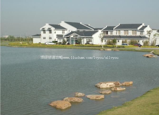 2A��������������԰���ι���